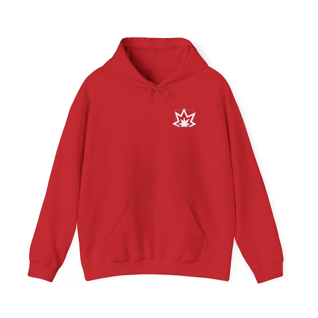 The Aftermath Hoodie - Retro Nuke Vail Ski Graphic