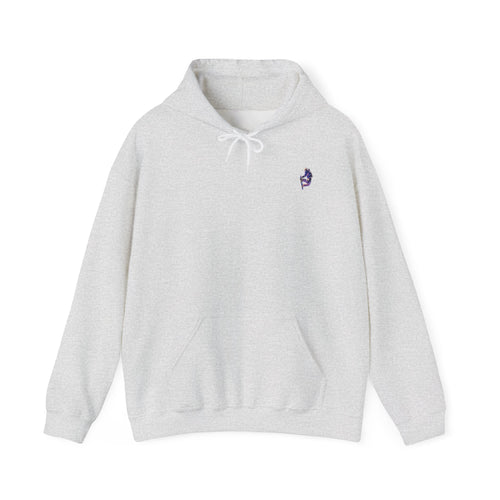 Classic Nuke Vail Snowboarder Logo -- Unisex Heavy Blend™ Hooded Sweatshirt