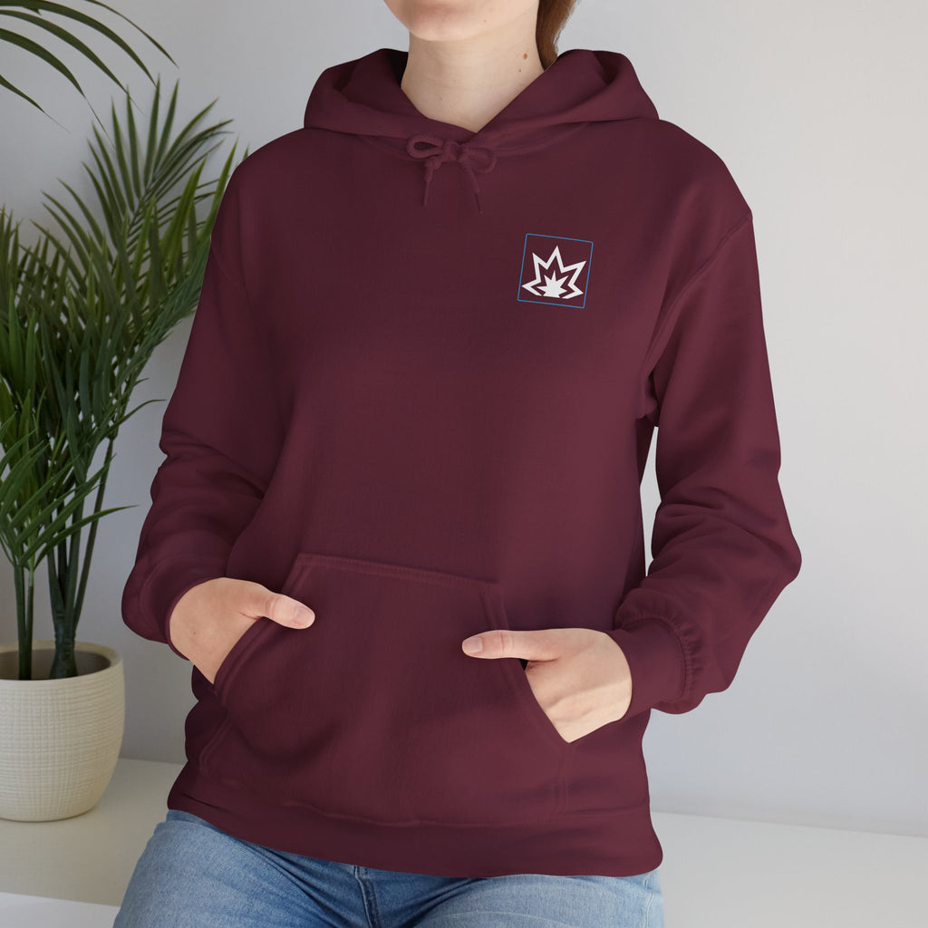 The Aftermath Hoodie - Retro Nuke Vail Ski Graphic